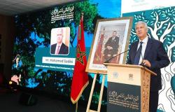 El árbol de argán y los desafíos climáticos en la agenda – Marruecos actual
