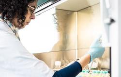 Equipos del Hospital Universitario de Nantes y de la Universidad de Nantes actualizan un nuevo mecanismo anticancerígeno