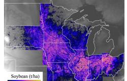 La NASA está ayudando a los agricultores: cómo los investigadores utilizan imágenes satelitales para abordar grandes problemas agrícolas