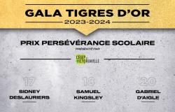 Gala Tigres de Oro 2024: nominados al Premio a la Perseverancia Escolar