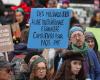 Humedales en Quebec: la destrucción continúa, la creación paralizada
