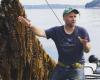 Un pescador canadiense convertido en agricultor marino produjo más de 20 toneladas de algas el año pasado.