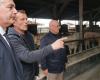 Cow Covid: “una gran preocupación para nosotros”, el desafío que el MHE plantea a los ganaderos sigue sin resolverse
