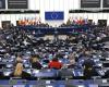Nueve eurodiputados responden a sus preguntas desde el Parlamento Europeo
