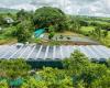 Casas de sombra fotovoltaicas para el cultivo de vainilla en la Isla de la Reunión