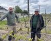 Helada en los viñedos de Indre-et-Loire: los viticultores de Bourgueillois se unen cada noche para evitar lo peor