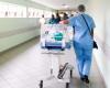 Se avecina la amenaza del virus de la fiebre hemorrágica de Crimea-Congo – La Nouvelle Tribune