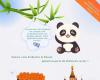 Los pandas gigantes te invitan a probar caviar en Ya’an, Sichuan