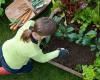 VÍDEO – Crea un pedacito de jardín en tu balcón: el éxito de los “influencers del huerto”