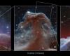 Una nebulosa con forma de caballo se acerca en nuevas fotografías tomadas por el telescopio Webb de la NASA