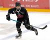 Hockey sobre hielo: Jan Dorthe durante tres temporadas en el Fribourg-Gottéron