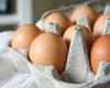 Esta creencia popular sobre los huevos orgánicos la desmiente un médico y es preocupante