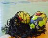 Balonmano: día de ensueño para Pau-Nousty Sports