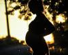 la exposición durante el embarazo afecta el desarrollo fetal