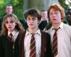 Un personaje clave de los libros de Harry Potter poco conocido en el cine finalmente podría destacarse en la nueva serie de televisión
