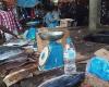 Comoras: 53 enfermos de cólera y 4 muertos en la isla de Mohéli