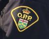 Contenido sexual infantil: 64 presuntos pedófilos arrestados en Ontario