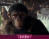 Bruno Pollet, el belga detrás de los efectos especiales de “El planeta de los simios: El nuevo reino”: “Tienes que imaginarte en la piel de un mono”