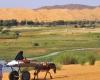 Agricultura: Mauritania emprende la ruta del trigo