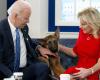 El perro de Joe Biden, Commander, amenazado de muerte por un gobernador