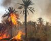 El fuego sigue causando estragos en los oasis de Tata