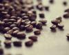 El precio de las semillas de café se ha disparado en un año