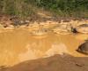 NÍGER: Las minas de oro chinas cerradas tras la muerte de medio centenar de animales
