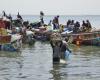 Cooperación entre Senegal y la UE: Jean-Marc Pisani detalla el acuerdo de pesca – Lequotidien