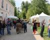 Este imperdible “Garden Festival” vuelve este fin de semana a Essonne: aquí es donde