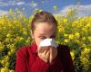 Alerta roja: ¡cuidado con el polen en Mayenne!