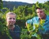 El viñedo de Aveyron atrae nuevas incorporaciones