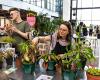 Un festival imperdible con talleres y clases magistrales para poner a prueba tu habilidad con la jardinería en París – Paris ZigZag