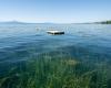 EPFL lanza un proyecto participativo para evaluar la salud del lago Lemán