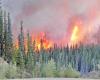 Ciudad de Columbia Británica evacuada debido a un incendio forestal