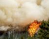 Incendio forestal en Columbia Británica duplica su tamaño