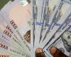 EFCC detiene las transacciones en dólares y pide a las embajadas cobrar en naira