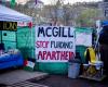 McGill acude a los tribunales para desmantelar el campamento pro palestino