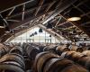Krug, filial de LVMH, adquiere una planta de elaboración de vino a medida en Marne