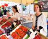 Fiesta de la fresa en Beaulieu: más de tres toneladas de fruta vendidas