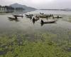 NGT busca medidas urgentes ante el empeoramiento de las condiciones del lago Dal – Kashmir Observer