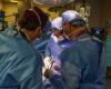 Muere un paciente trasplantado de riñón de cerdo