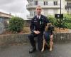 Angoulême: el perro policía Scott distinguido por la sociedad por favorecer el bien de Charente