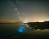 ¿Qué es la bioluminiscencia que apareció hace 540 millones de años?
