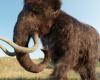 Prehistoria: ¿los humanos ya cazaban mamuts por su marfil?
