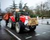 Revuelta de los agricultores europeos: ¿Debería preocuparse Canadá?