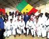 Presunta malversación de fondos públicos en la FSKDA: el presidente de la Liga de Karate de Dakar se apodera de la OFNAC