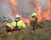 Incendios forestales: el departamento de Loiret “puede estar en riesgo” durante el calor extremo