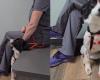 Veterinario usa humor y una peluca para ayudar a su perro a superar el miedo a los hombres (vídeo)
