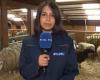 Incautación de ovejas en mal estado en Enghien: ¿qué será de estos animales?