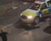 VIDEO. Polémica en todo el Canal de la Mancha después de que un policía atropelló a una vaca que huía: “Se tomó la decisión de detenerla con un coche”, explica la policía